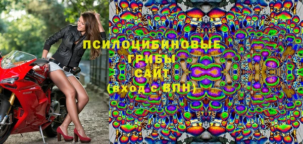 молекула духа Аркадак