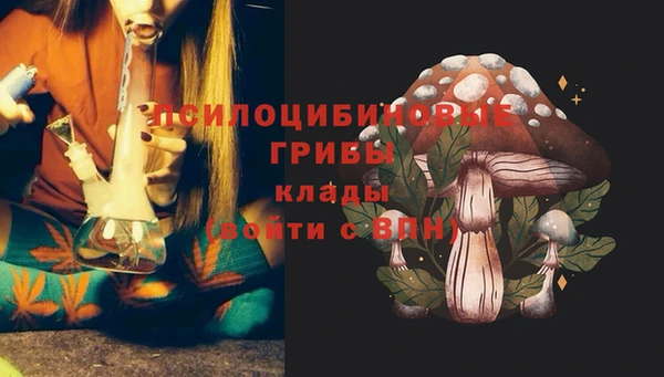 винт Арсеньев