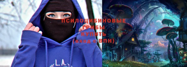 молекула духа Аркадак